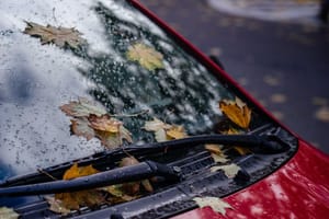 Fall Leaves Can Flood Your Footwell and Even Start a Fire: How to Prevent Both