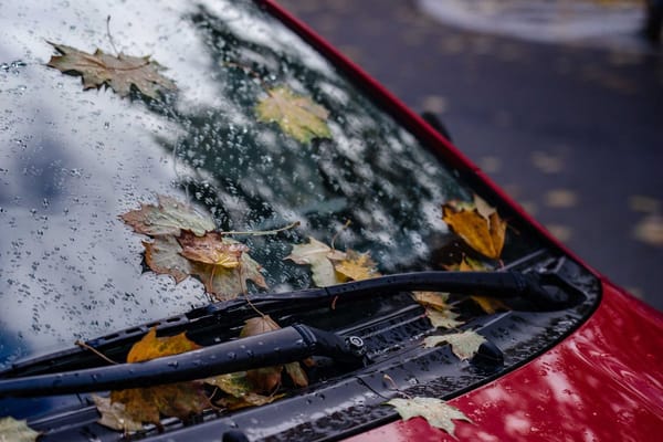 Fall Leaves Can Flood Your Footwell and Even Start a Fire: How to Prevent Both